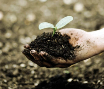 hand met compost