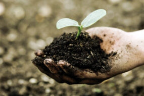 hand met compost